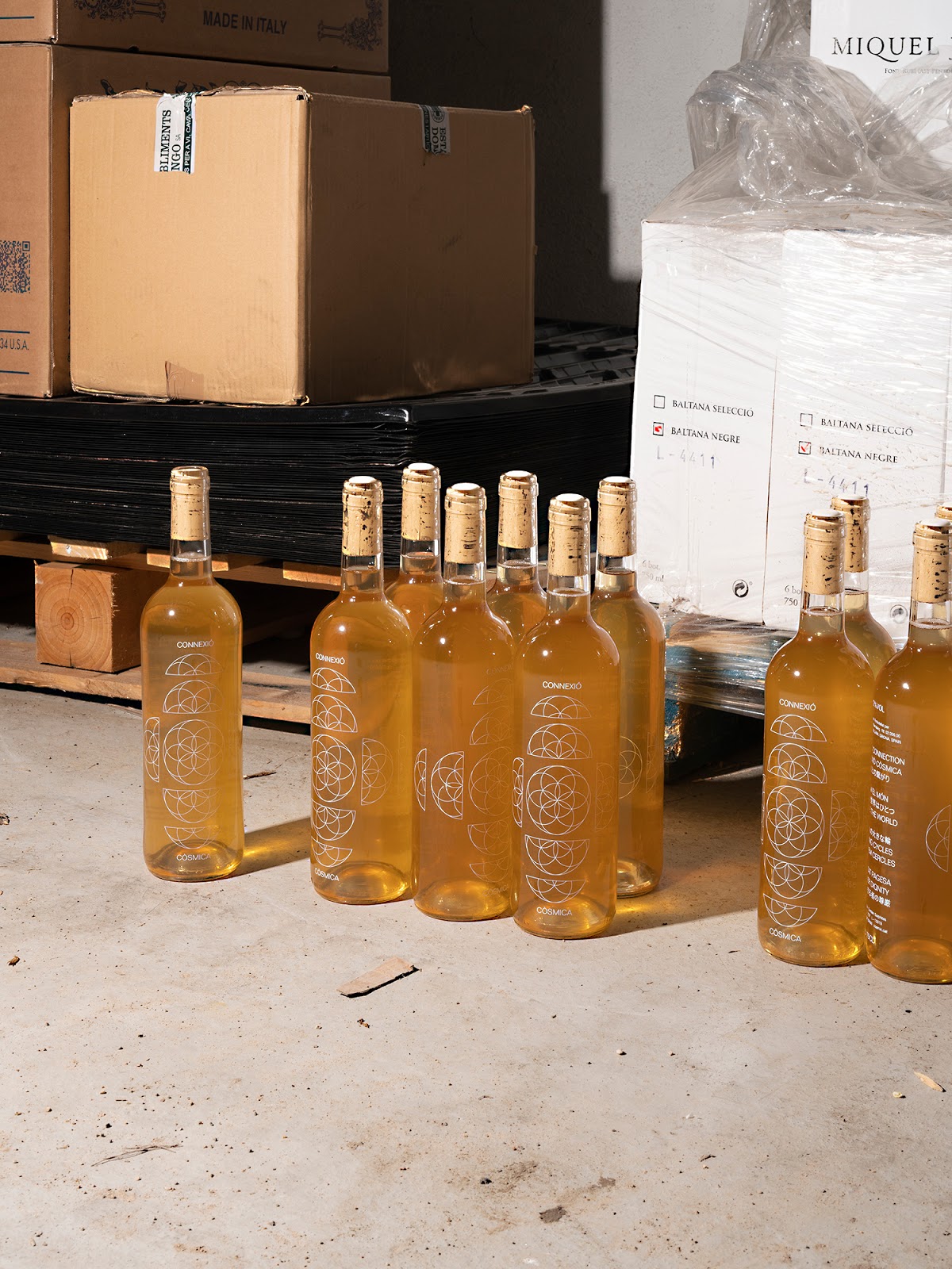 深圳葡萄酒包装设计欣赏(图2)