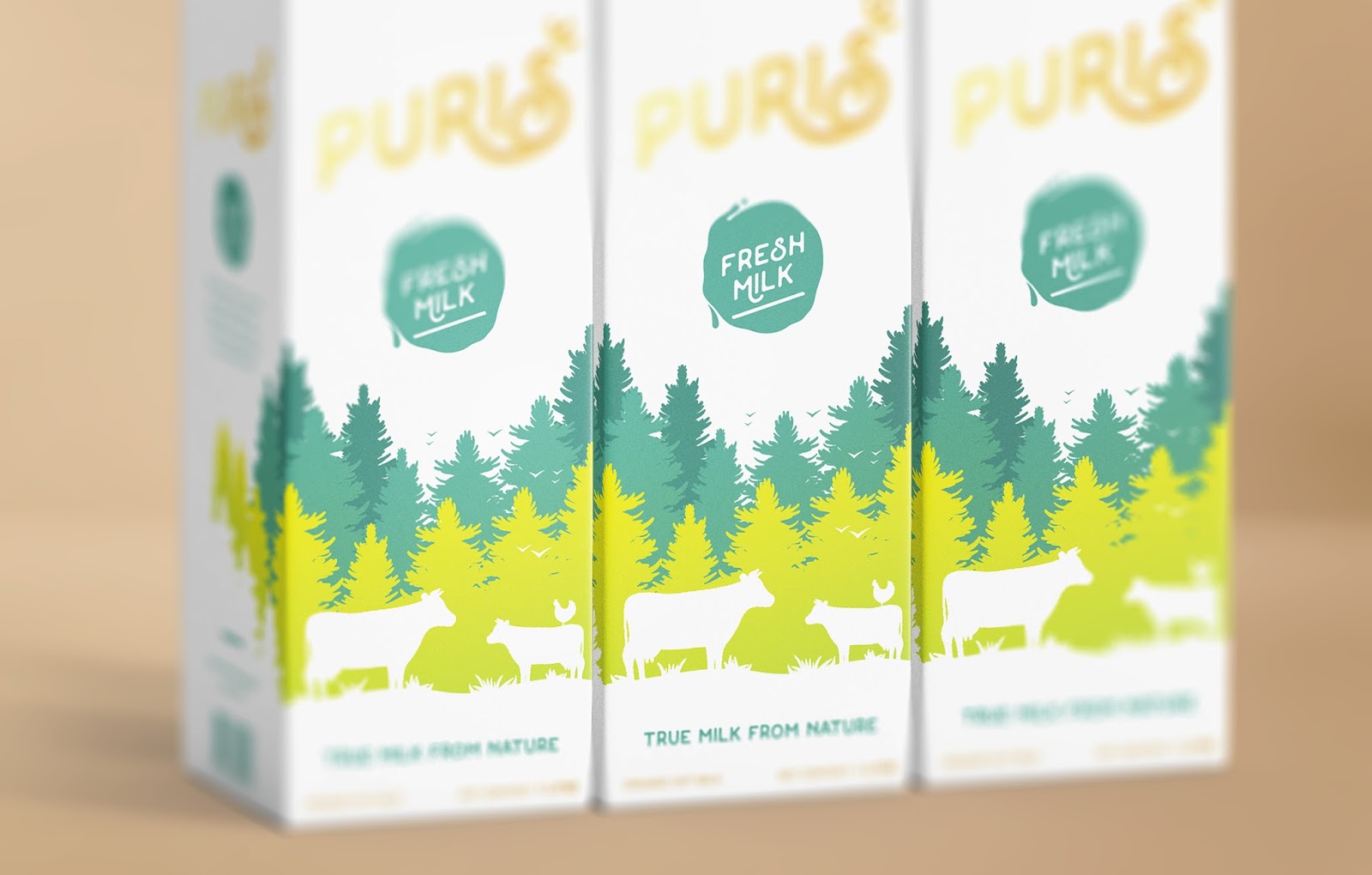 烟台牛奶包装设计(图4)