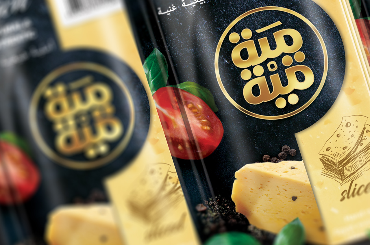 石家庄食品包装设计(图5)