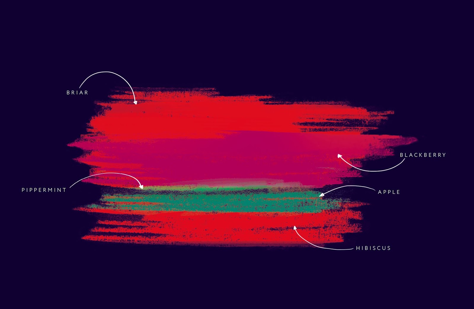 香草茶包装设计(图5)