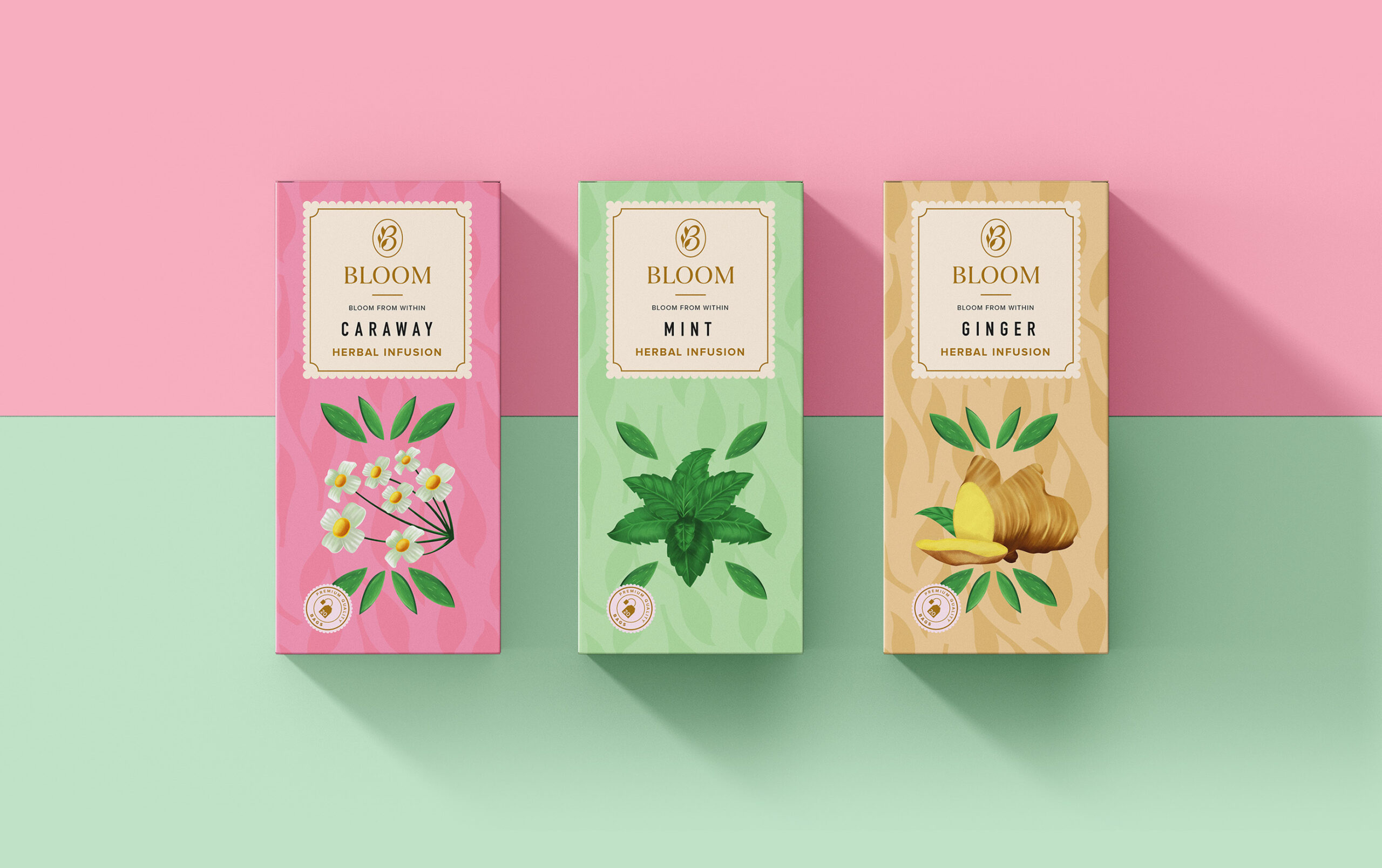 绘画风格的草本茶包装设计这样做(图2)