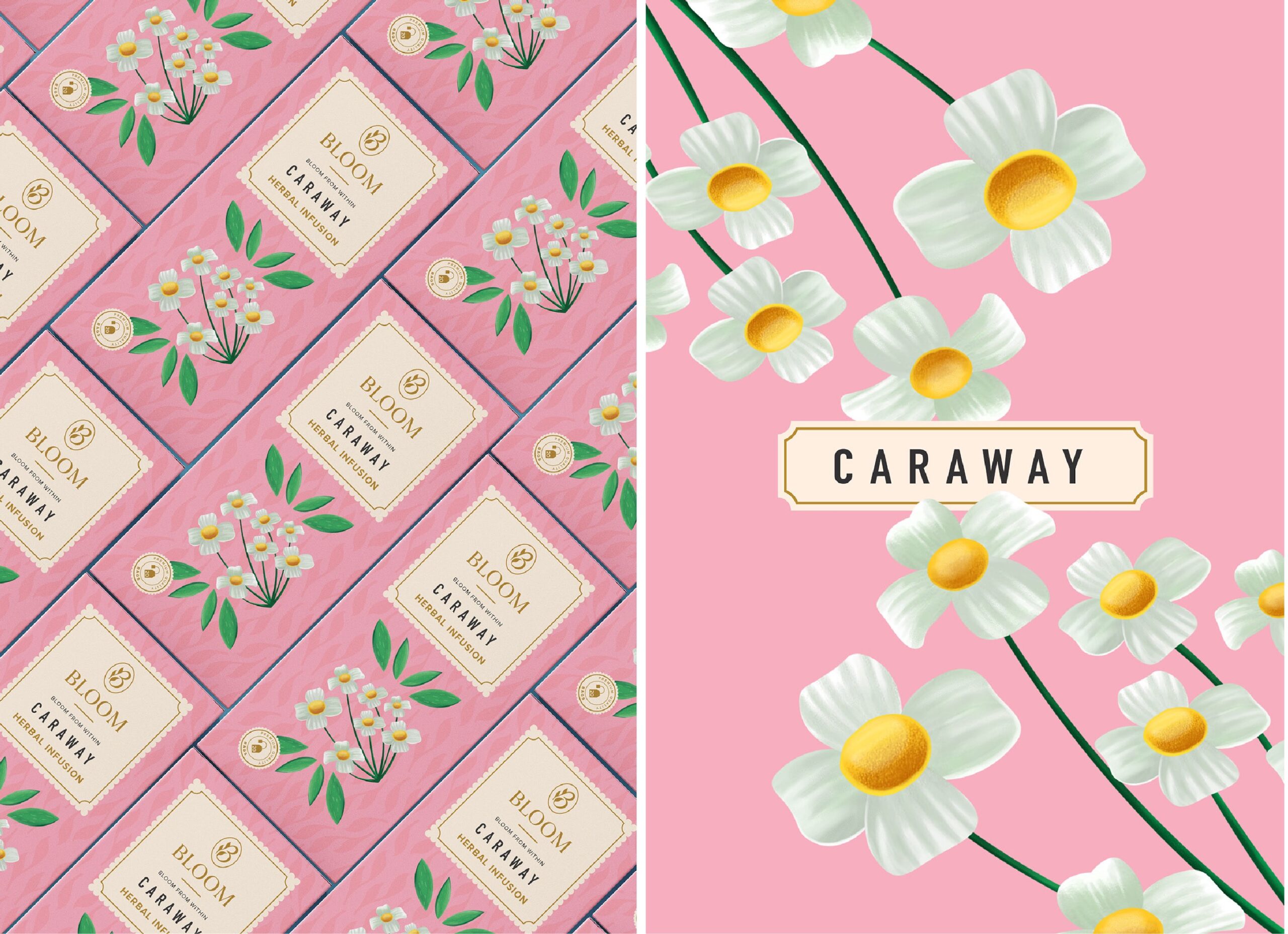 绘画风格的草本茶包装设计这样做(图3)