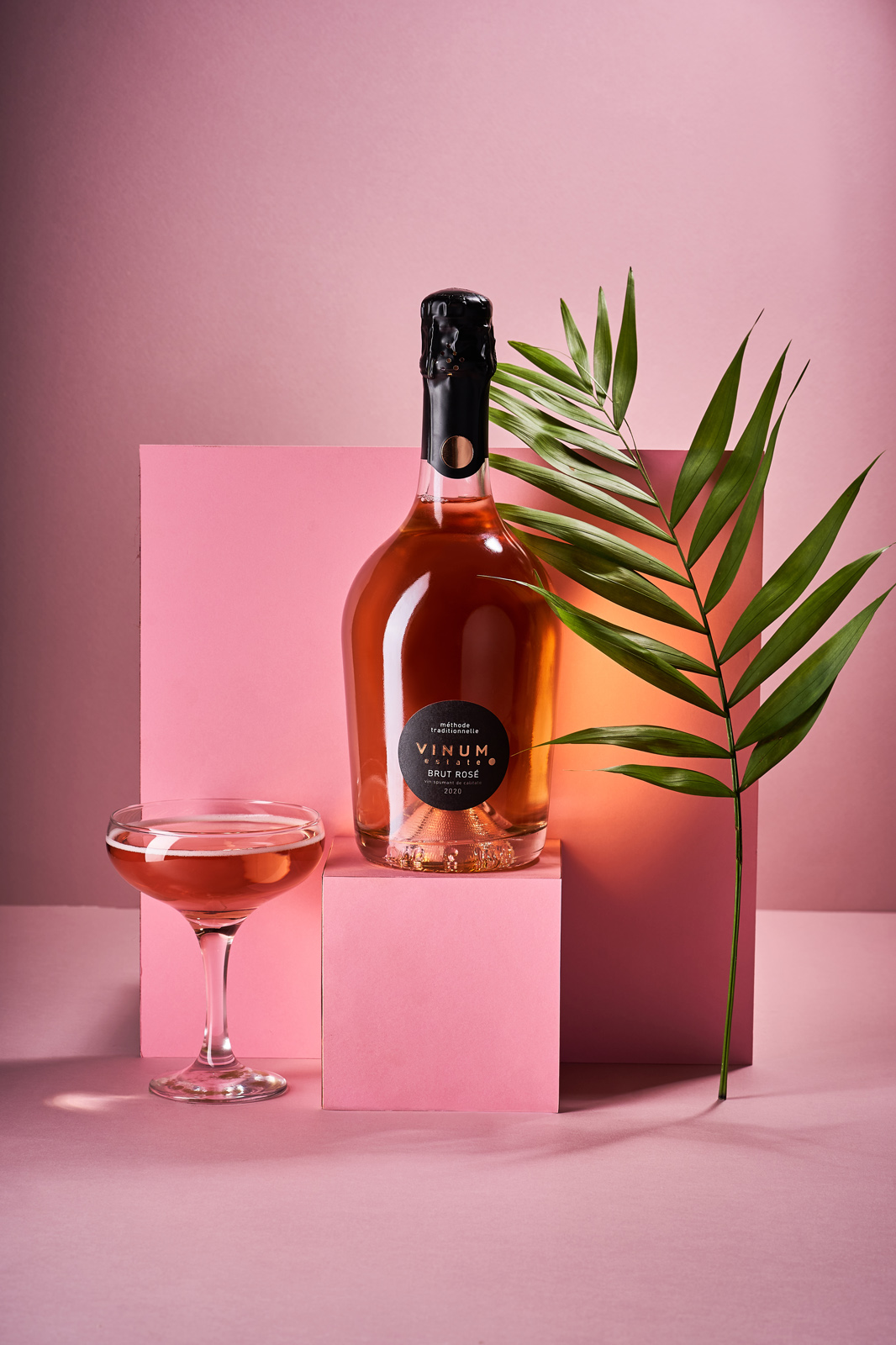 圆点符号为设计元素的起泡酒包装设计(图6)