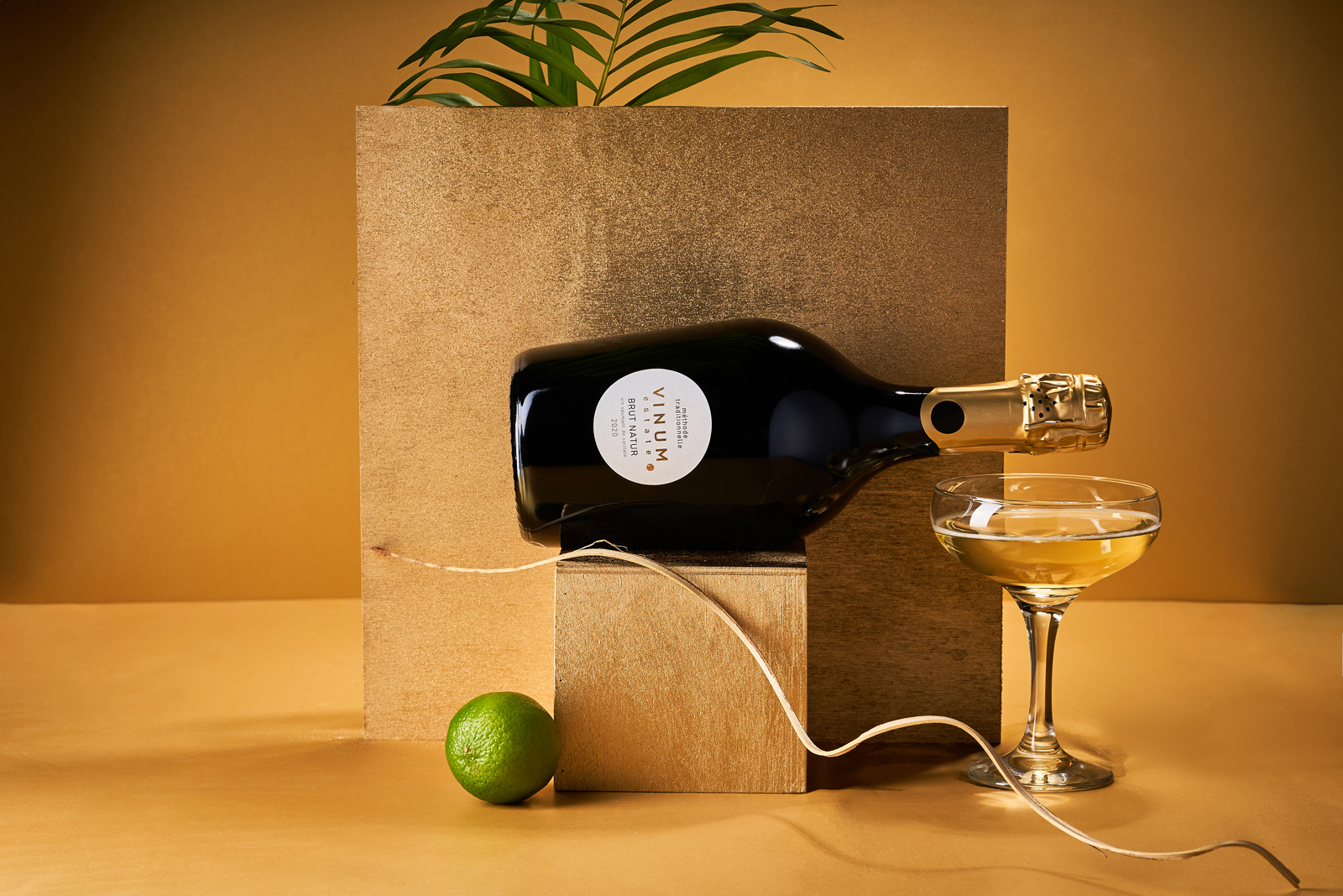 圆点符号为设计元素的起泡酒包装设计(图3)