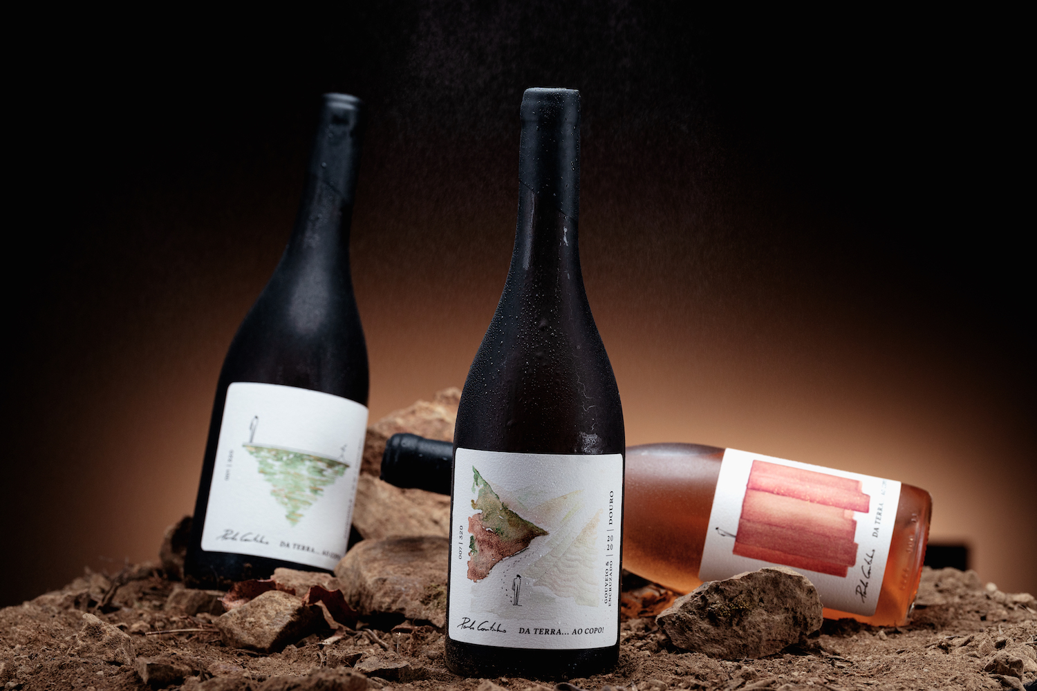 简约优雅的葡萄酒包装设计参考(图5)