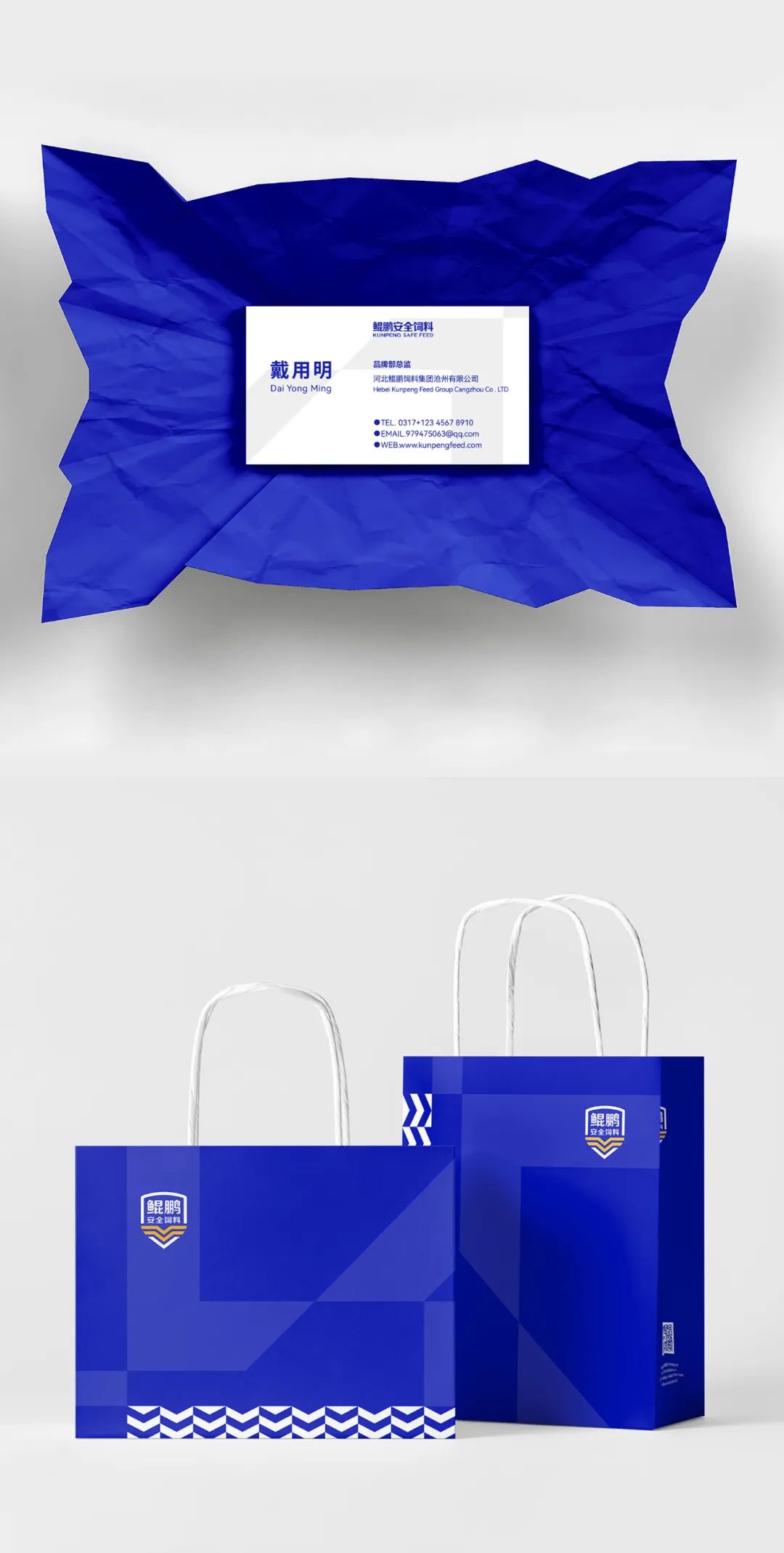 鲲鹏饲料品牌升级为鲲鹏安全饲料进一步强化品牌优势(图14)