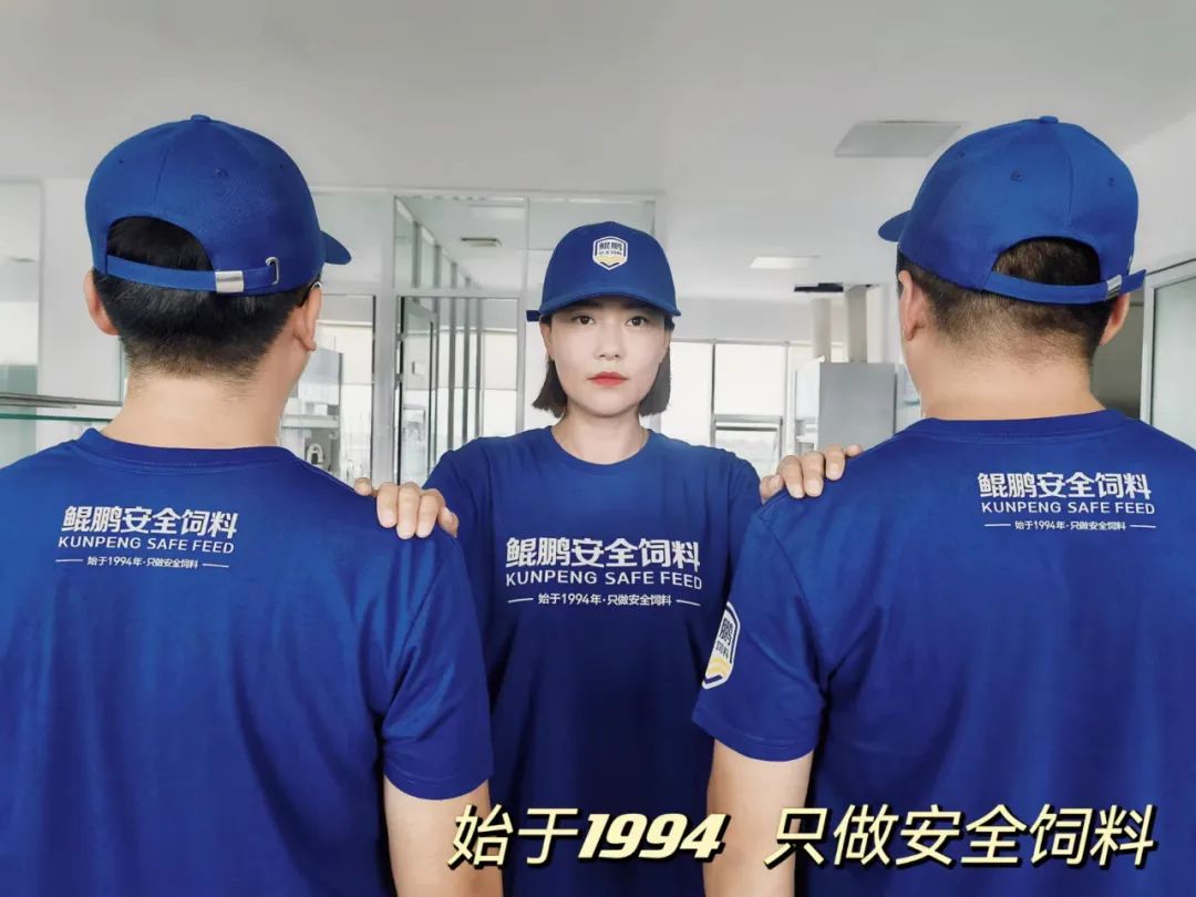 鲲鹏饲料品牌升级为鲲鹏安全饲料进一步强化品牌优势(图23)