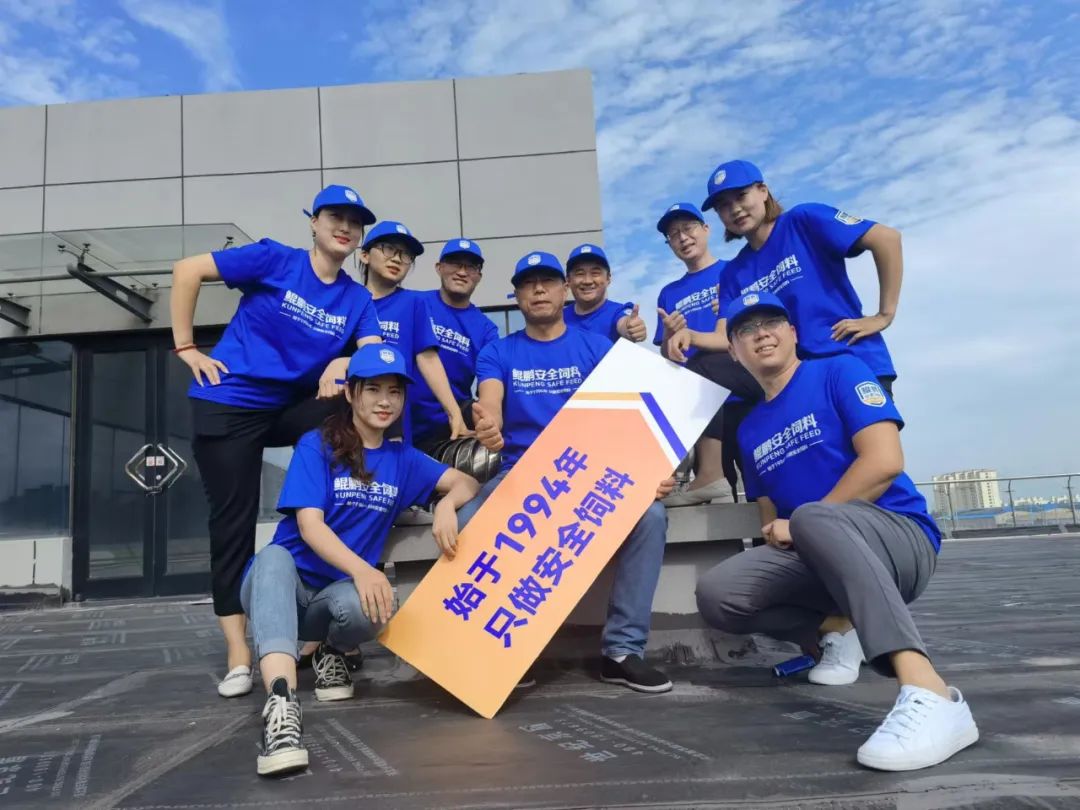 鲲鹏饲料品牌升级为鲲鹏安全饲料进一步强化品牌优势(图25)