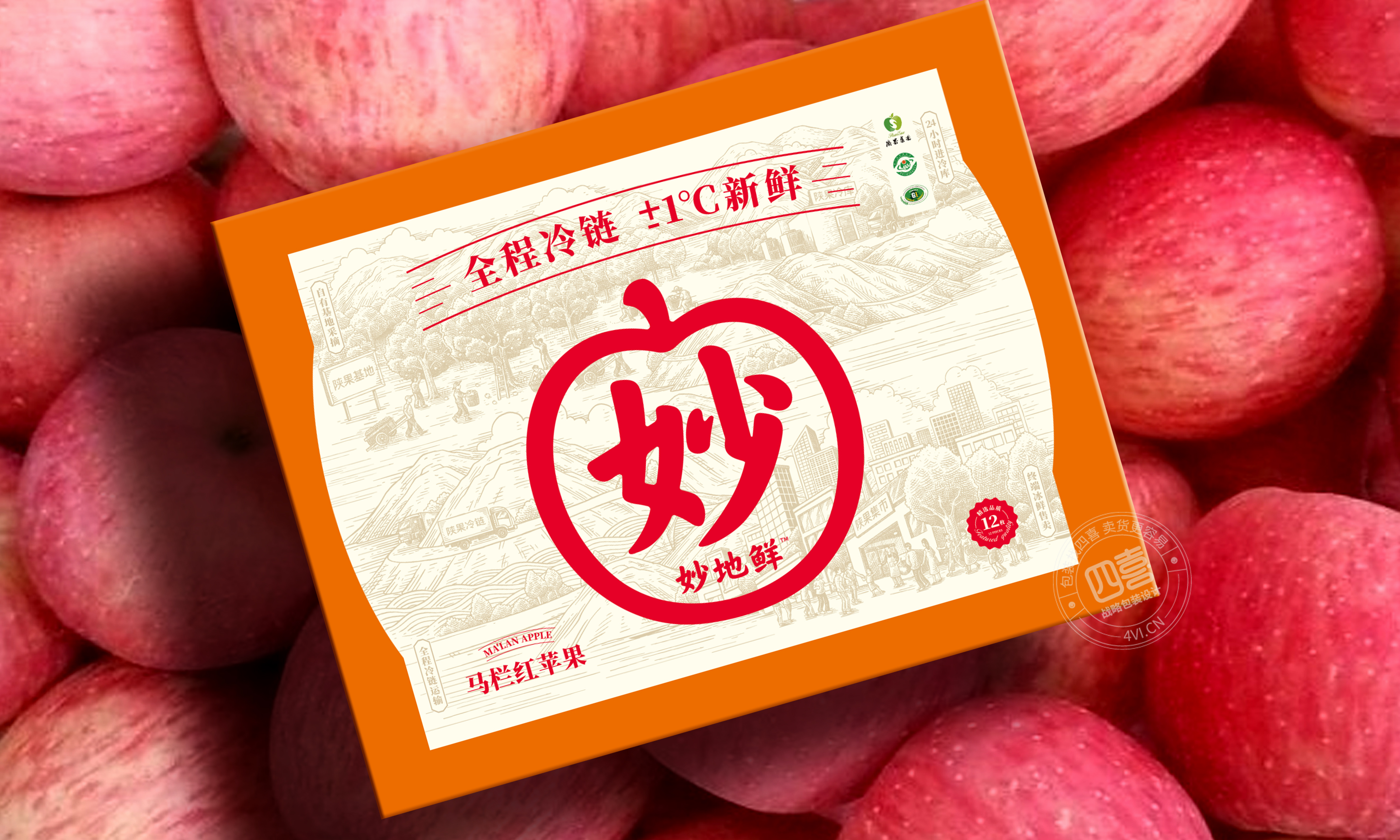 三亚水果特产芒果包装设计(图3)