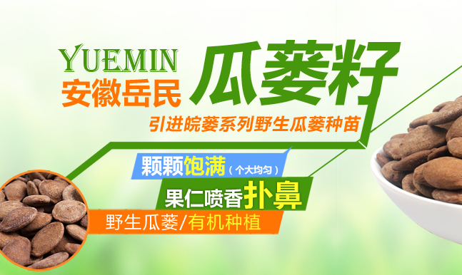 YUEMIN岳民食品包装设计欣赏(图3)