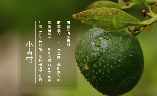 柑普人家食品包装设计欣赏(图2)