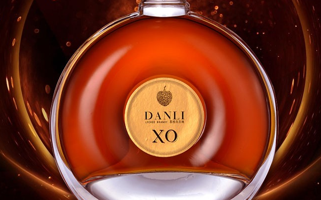 DANLI丹荔食品包装设计欣赏(图3)