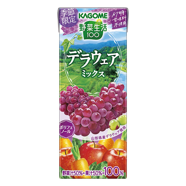 蔬菜生活特拉华混合可果美果实清凉饮料包装设计(图1)